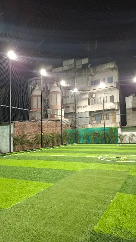 Turf photo 3