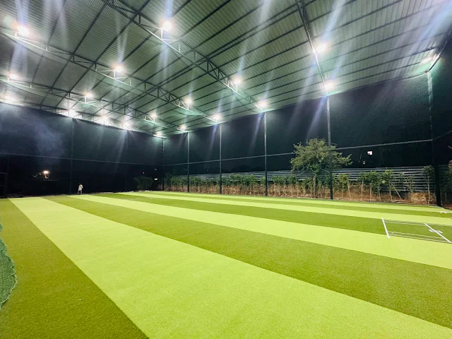 Turf photo 2