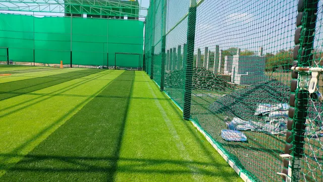 Turf photo 3