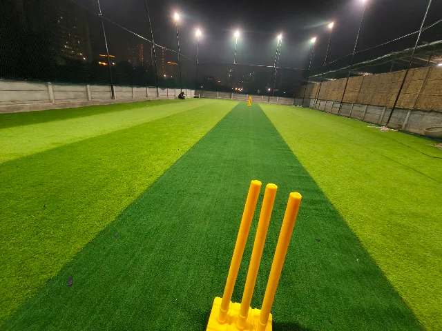 Turf photo 4
