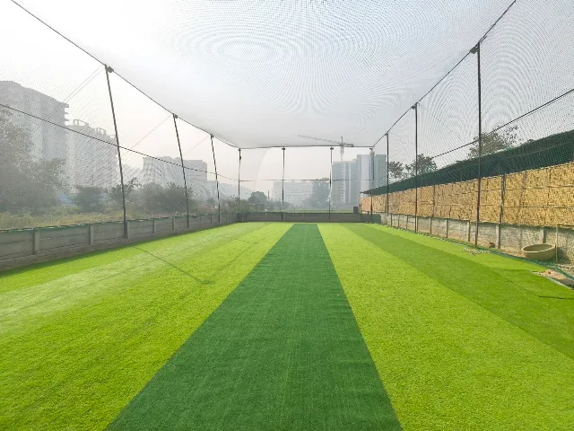 kanha Cricket Turf