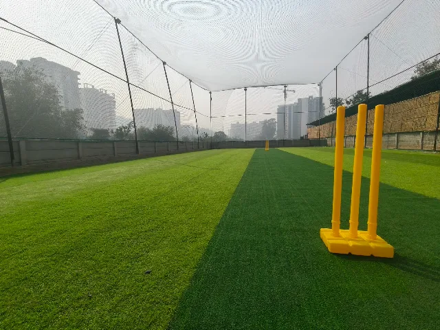 Turf photo 5