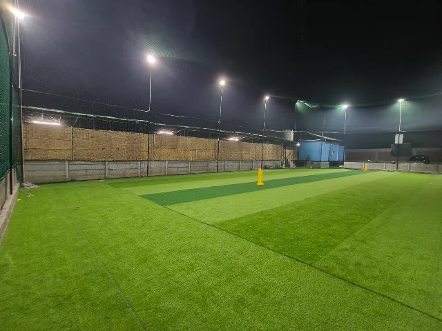 Turf photo 3