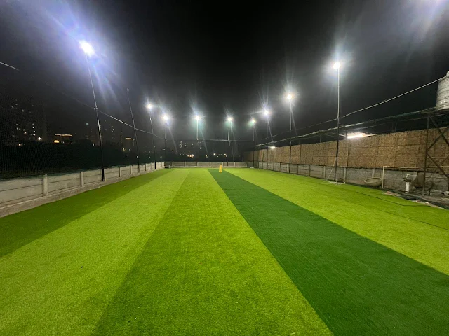 Turf photo 2