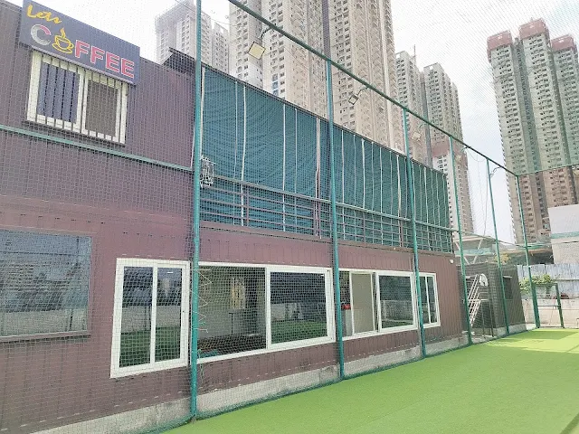 Turf photo 2