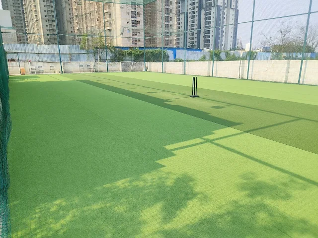 Turf photo 4