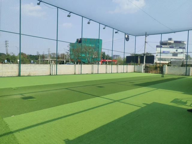 Turf photo 3