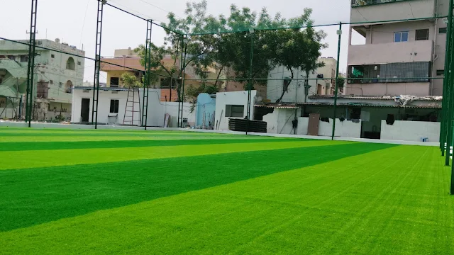 Turf photo 8
