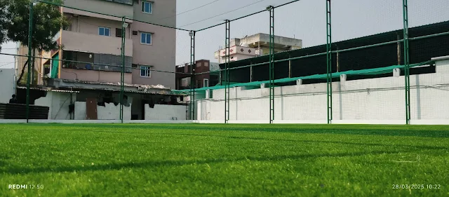 Turf photo 2