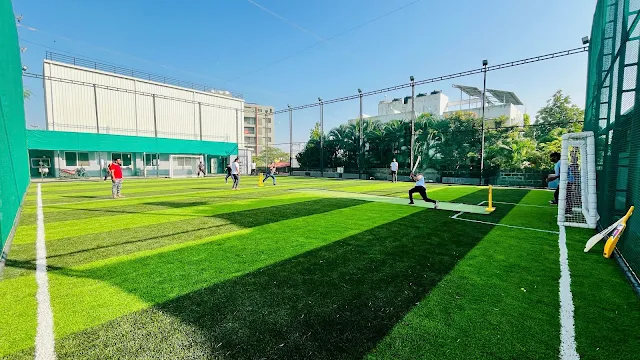 ANA Sports Turf