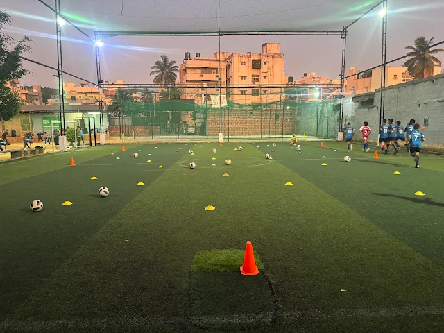Pro Legacy Sports Academy