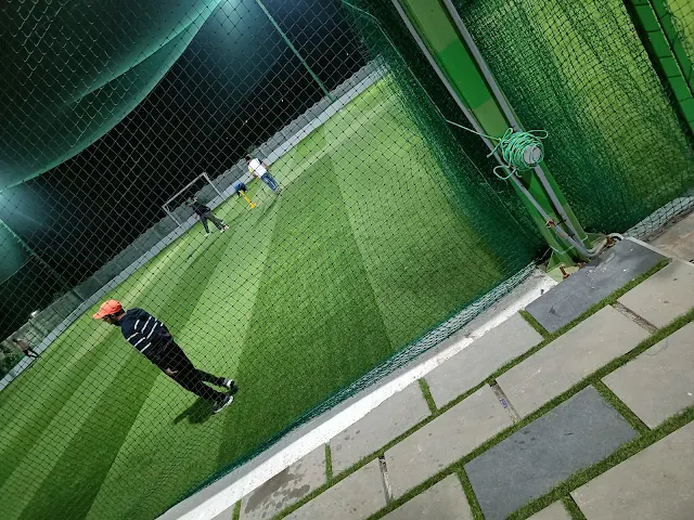 Turf photo 2
