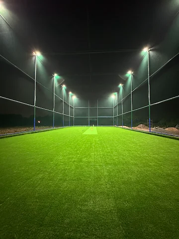 Turf photo 2