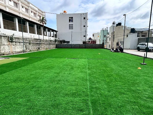 Turf photo 2