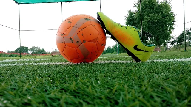 Turf photo 2