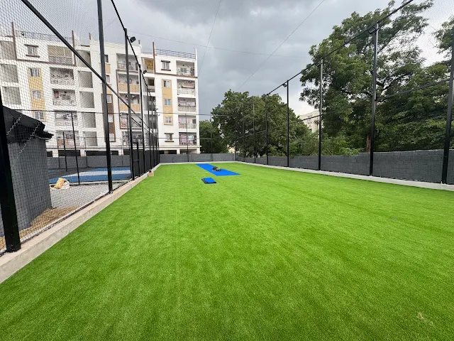 Turf photo 2