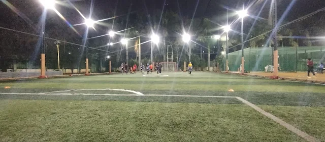 Turf photo 3