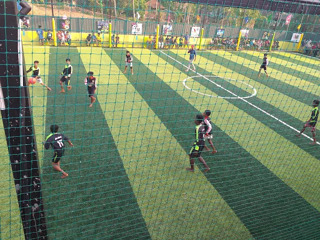 Turf photo 4