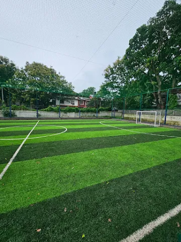 Turf photo 4