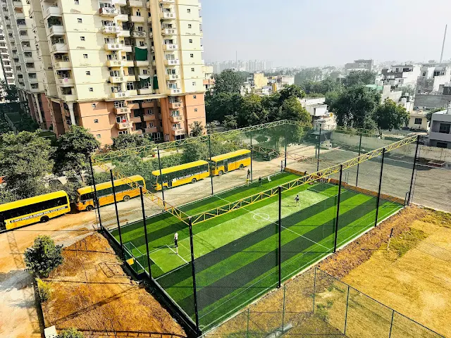 Turf photo 3