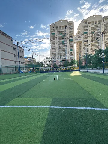 Turf photo 5