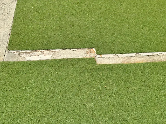 Turf photo 6