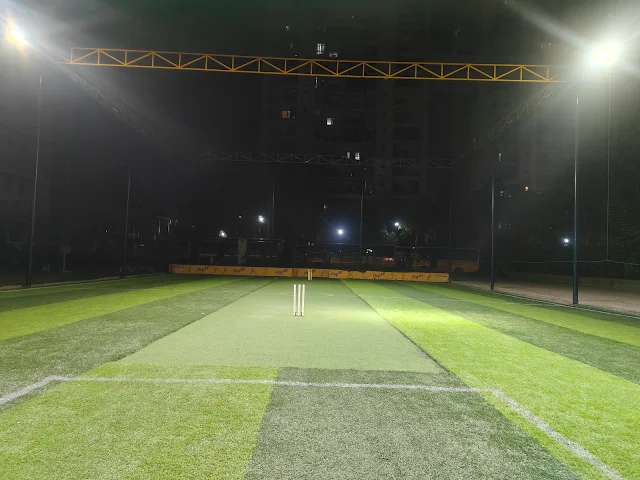 Turf photo 2