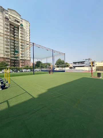 Turf photo 4
