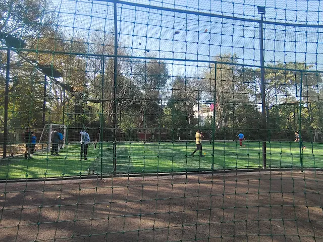 Turf photo 2
