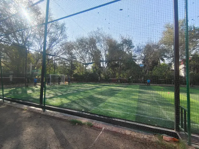 Turf photo 3