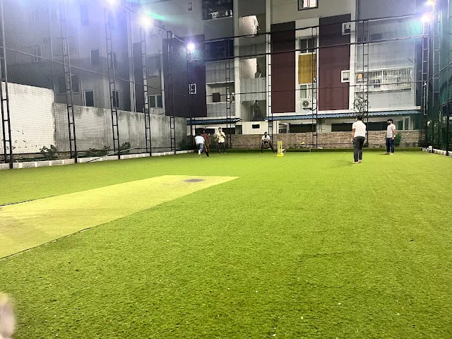 Turf photo 5