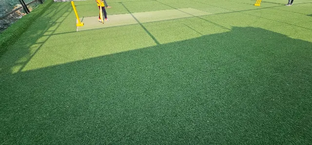 Turf photo 8