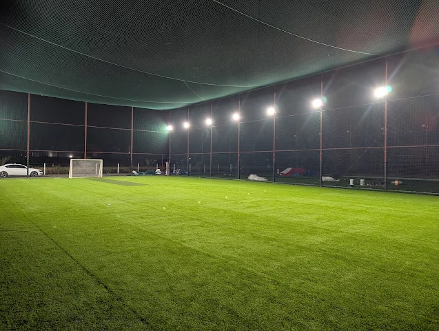 Athena Turf