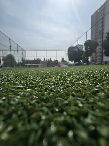 Turf photo 2
