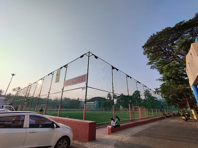 Turf photo 6