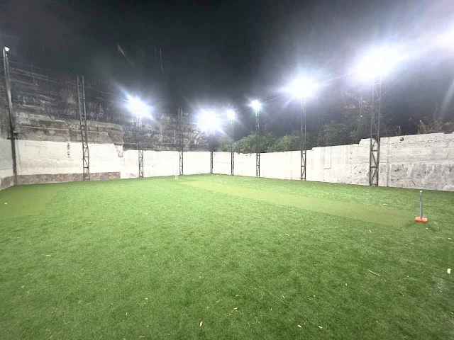 Turf photo 3