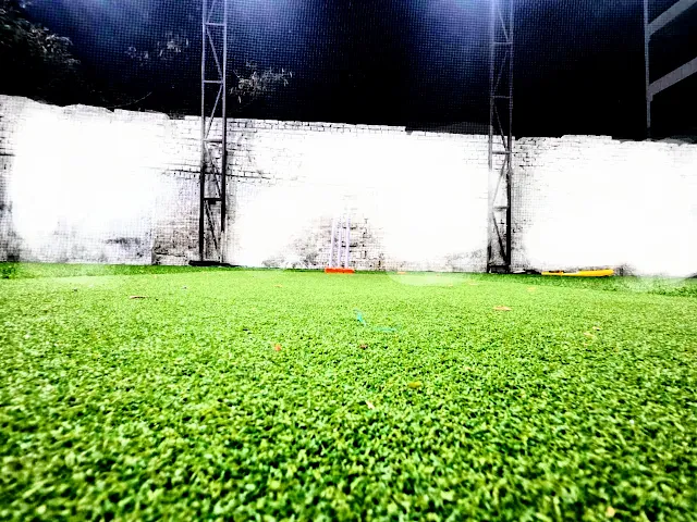 Turf photo 2