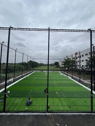 Turf photo 2