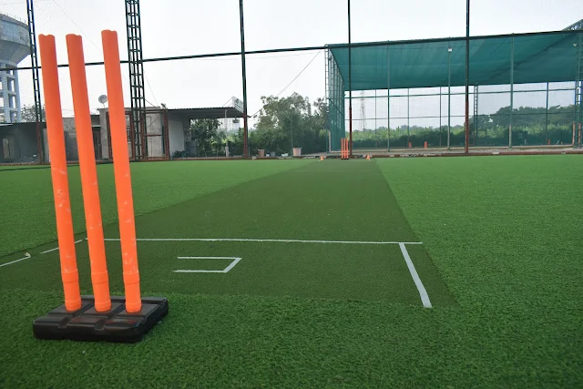 Turf photo 2