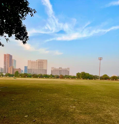 Turf main photo