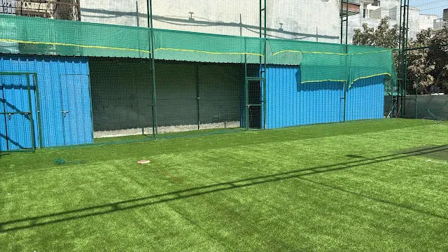 Turf photo 2