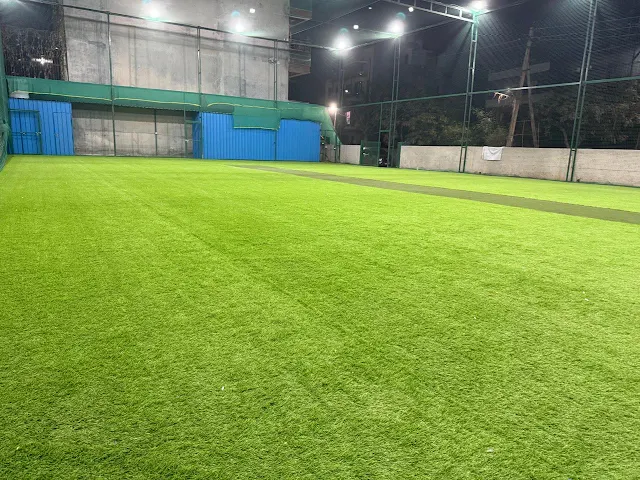 Turf photo 3