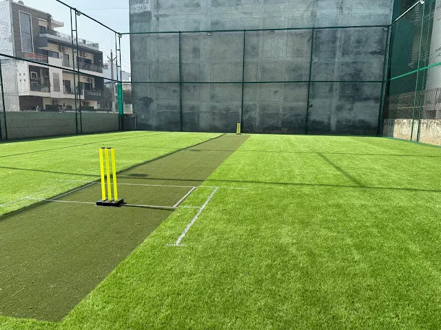 Turf main photo