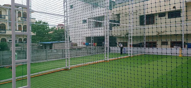 Turf photo 2