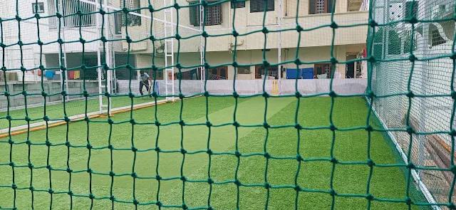 Turf photo 3
