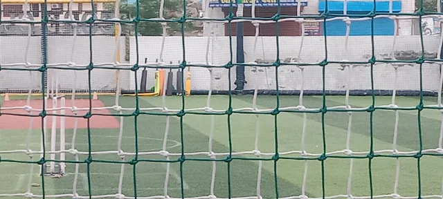 Turf photo 5
