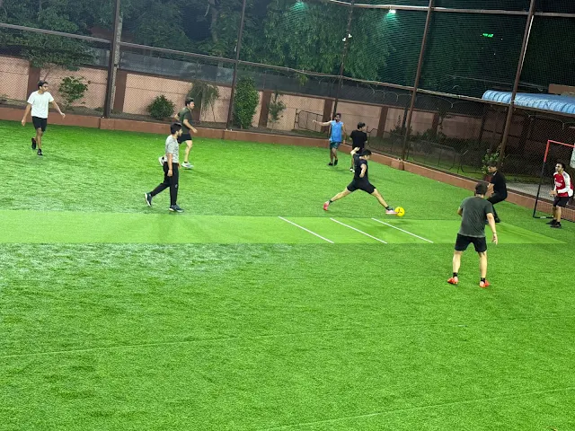 Turf photo 2