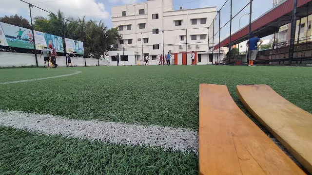 Turf photo 4