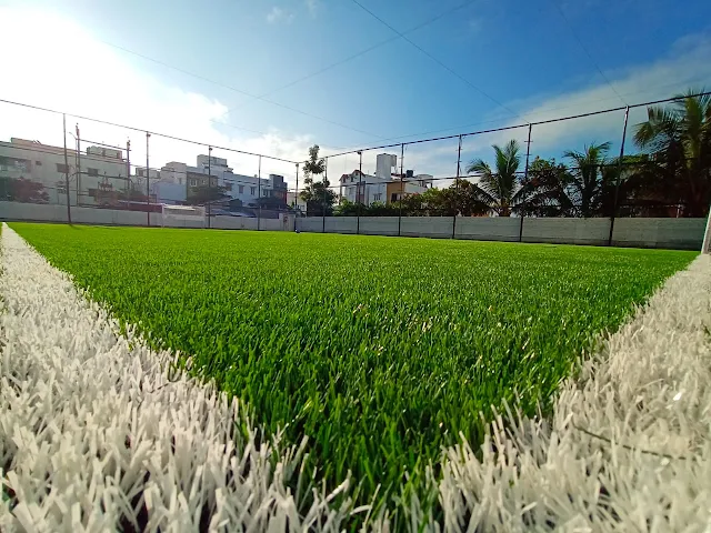 Turf photo 5