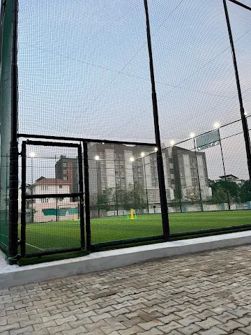 Turf photo 3